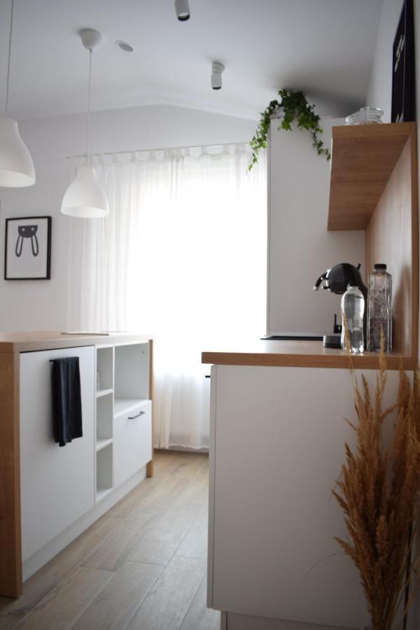 Voya Nordic Apartment-A Luxury Oasis In The Old Town Brașov Exterior foto